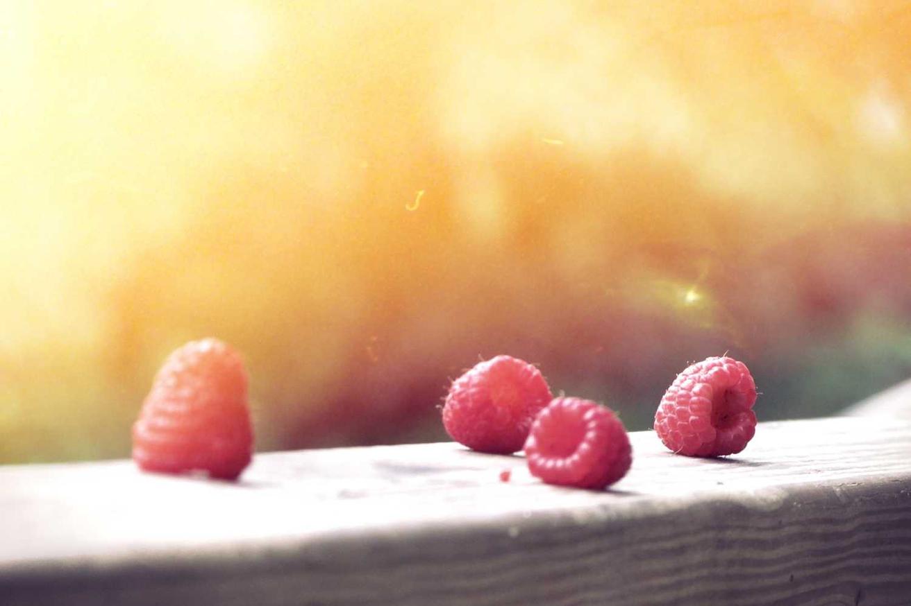 Expedita et omnis vero occaecati