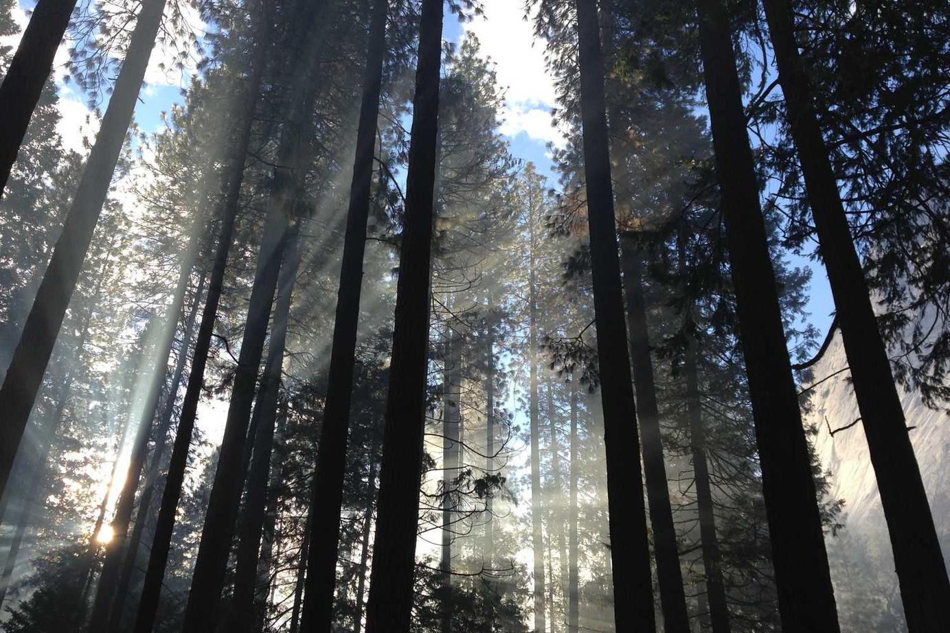 Mollitia voluptas optio voluptas sit soluta